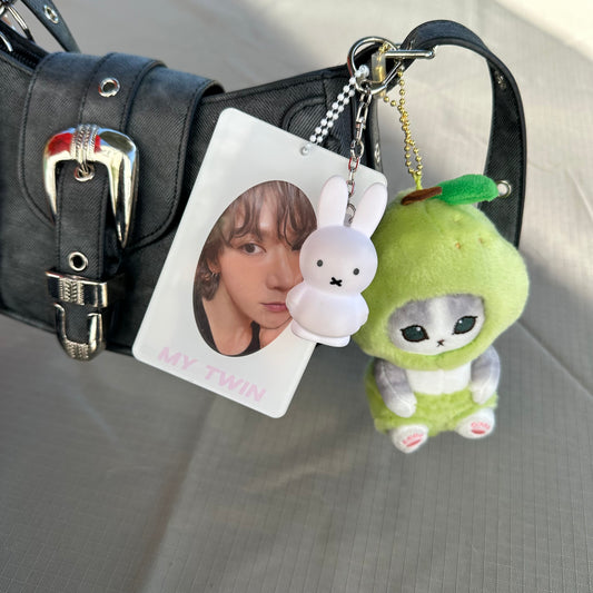 Kpop My Twin acrylic photocard holder